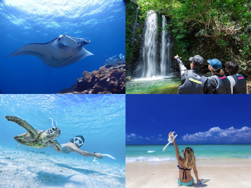 ツアー・アクティビティ体験